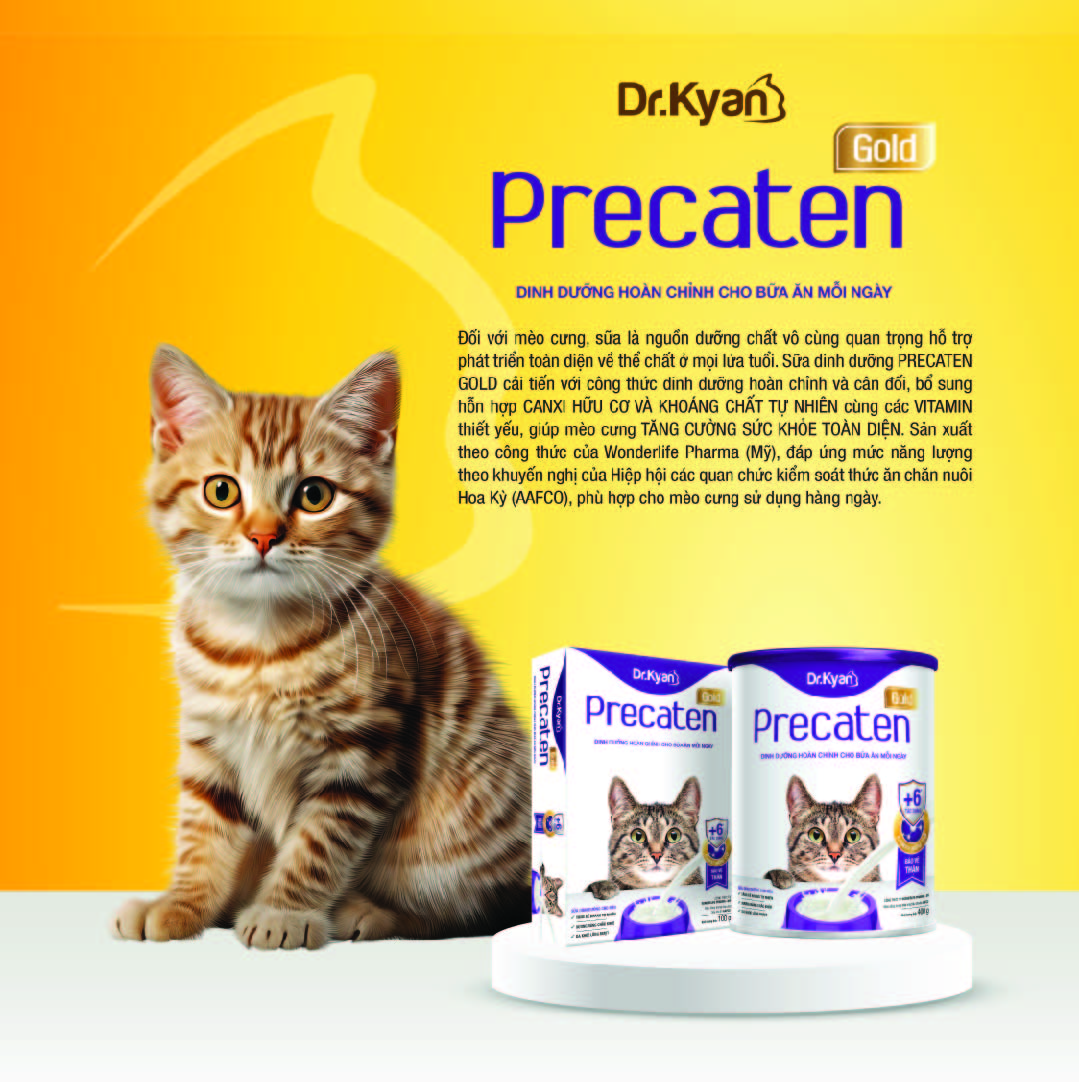 Mô tả Dr.Kyan - Sữa bột PRECATEN GOLD cho mèo lon 400g - DrKyan - 2