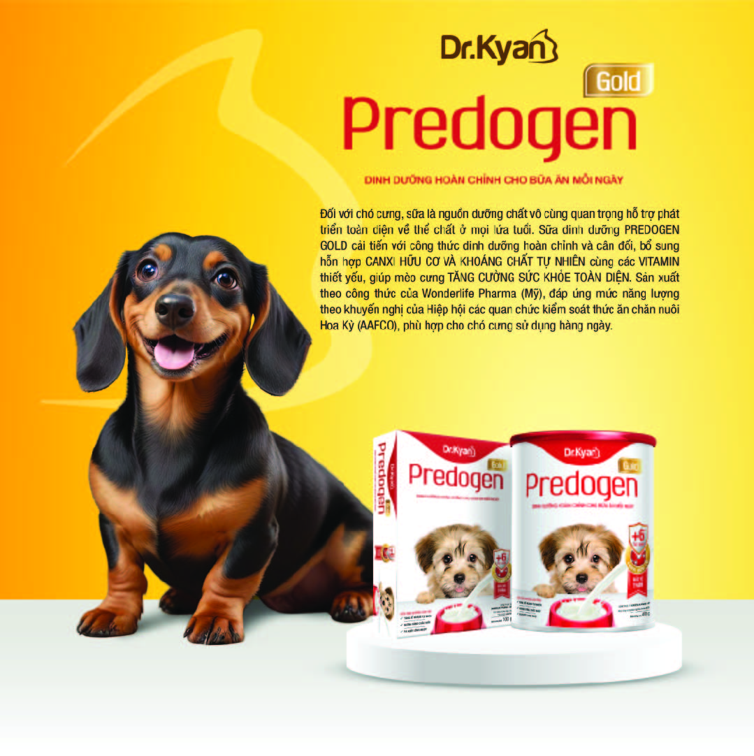 Mô tả Dr.Kyan - Sữa bột PREDOGEN GOLD cho chó lon 400g - DrKyan - 2