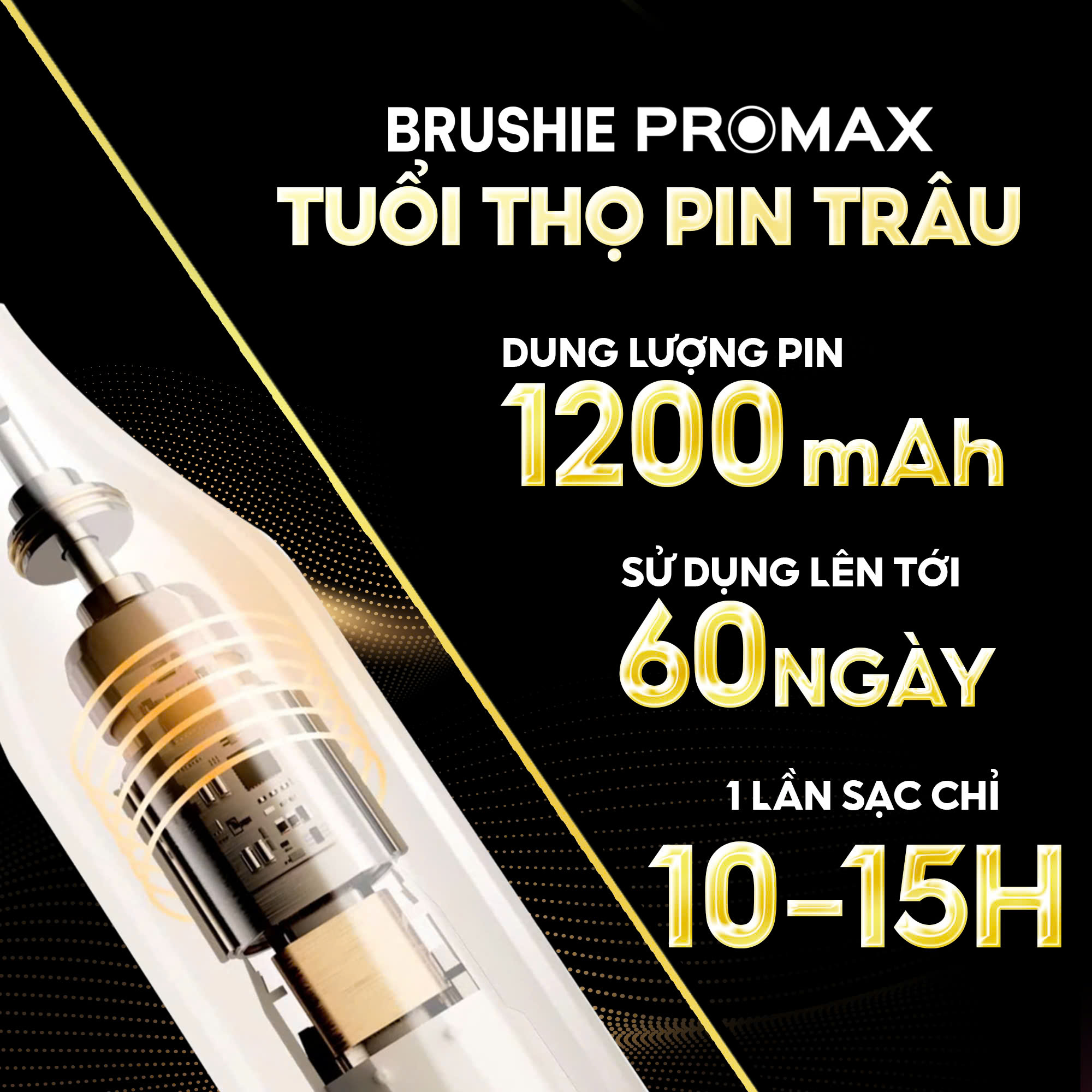 Tính năng Brushie Promax