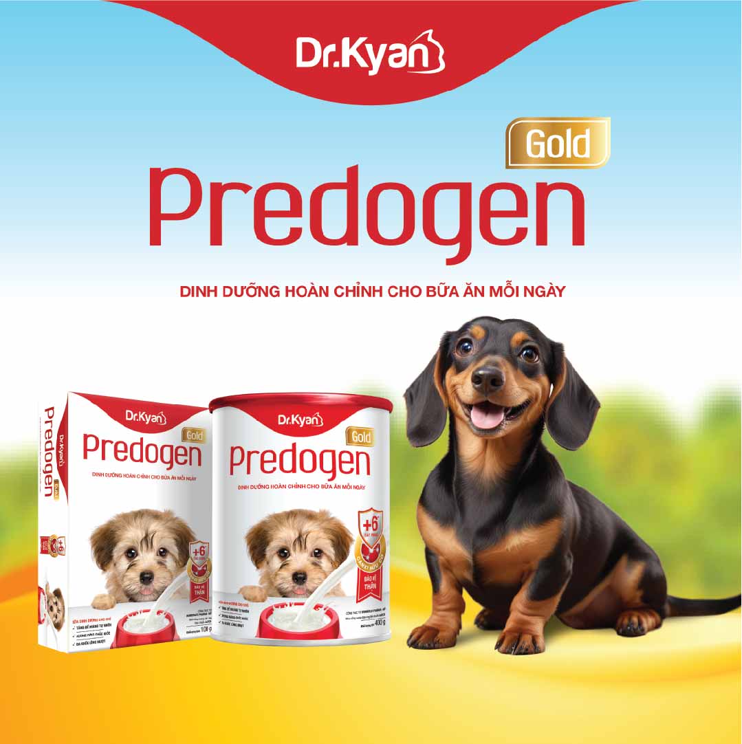 Mô tả Dr.Kyan - Sữa bột PREDOGEN GOLD cho chó Hộp 100g - DrKyan - 1