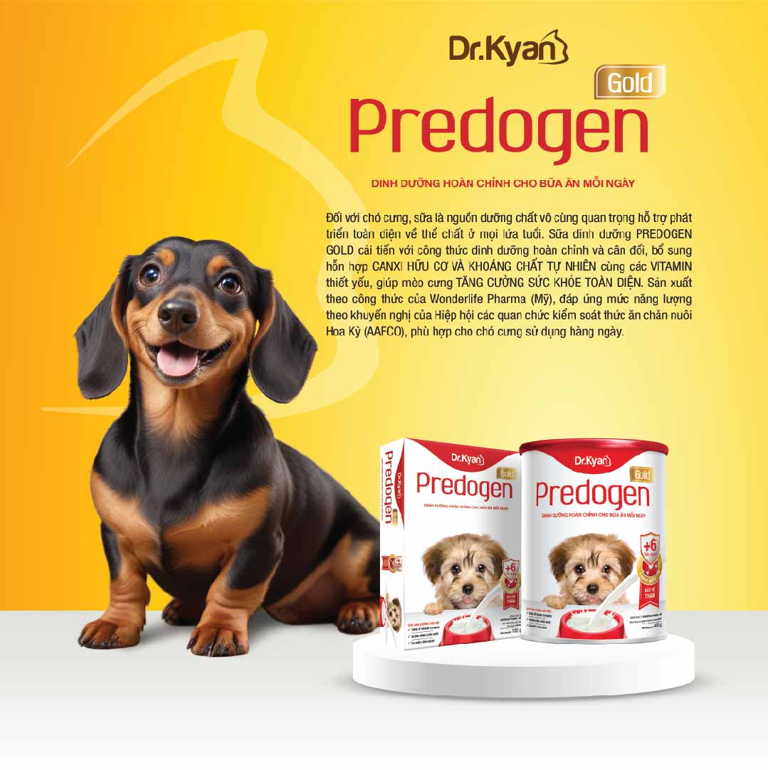 Mô tả Dr.Kyan - Sữa bột PREDOGEN GOLD cho chó Hộp 100g - DrKyan - 2
