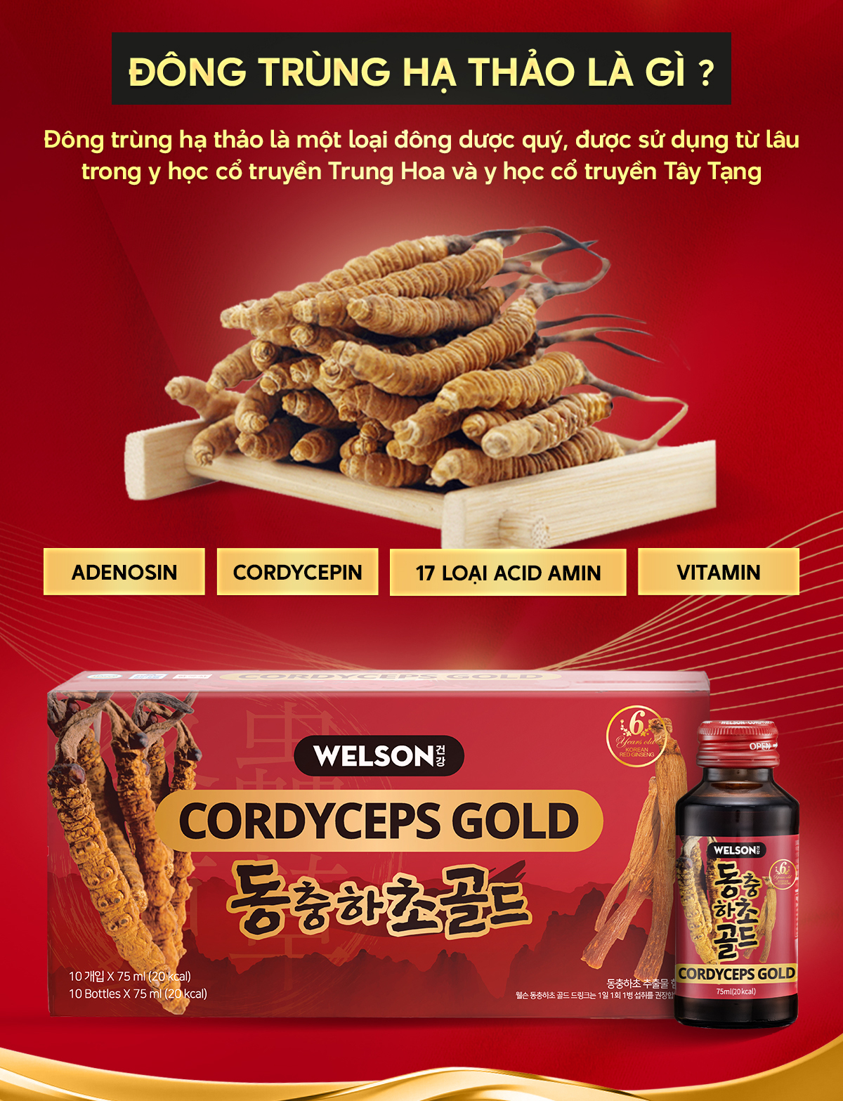 Mô tả Nước Uống Đông Trùng Hạ Thảo Welson Cordyceps Gold Hộp 10 Chai x 75ml [3Hộpx10c x75ml] - 4