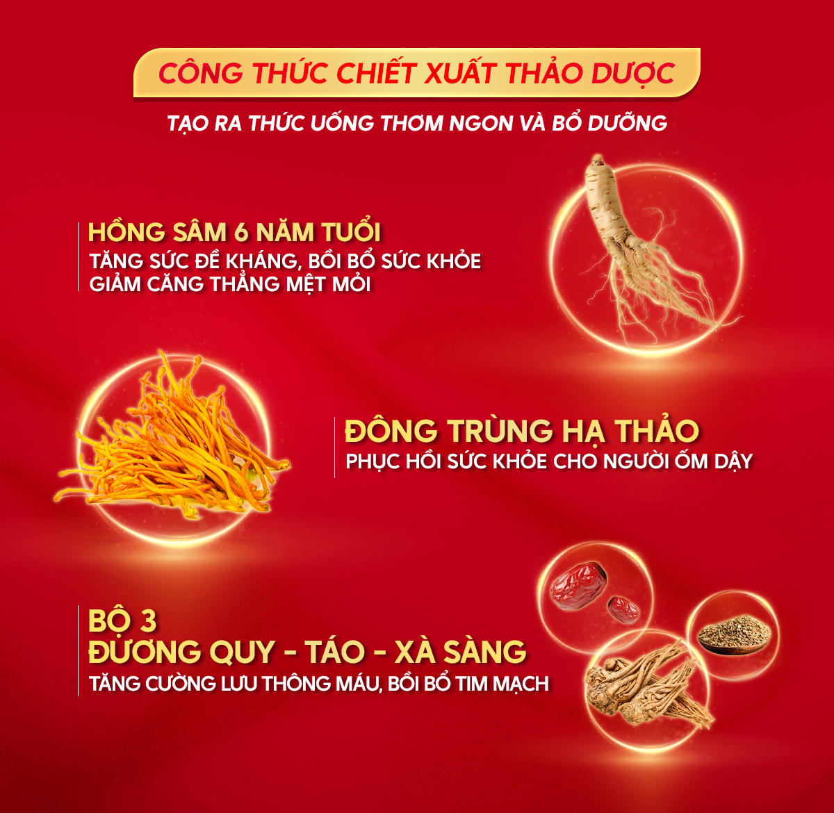 Mô tả Hộp Quà Hỗ Trợ Sức Khoẻ Nước Uống Đông Trùng Hạ Thảo Welson Cordyceps Gold [2Hộp x6c x75ml] - 3
