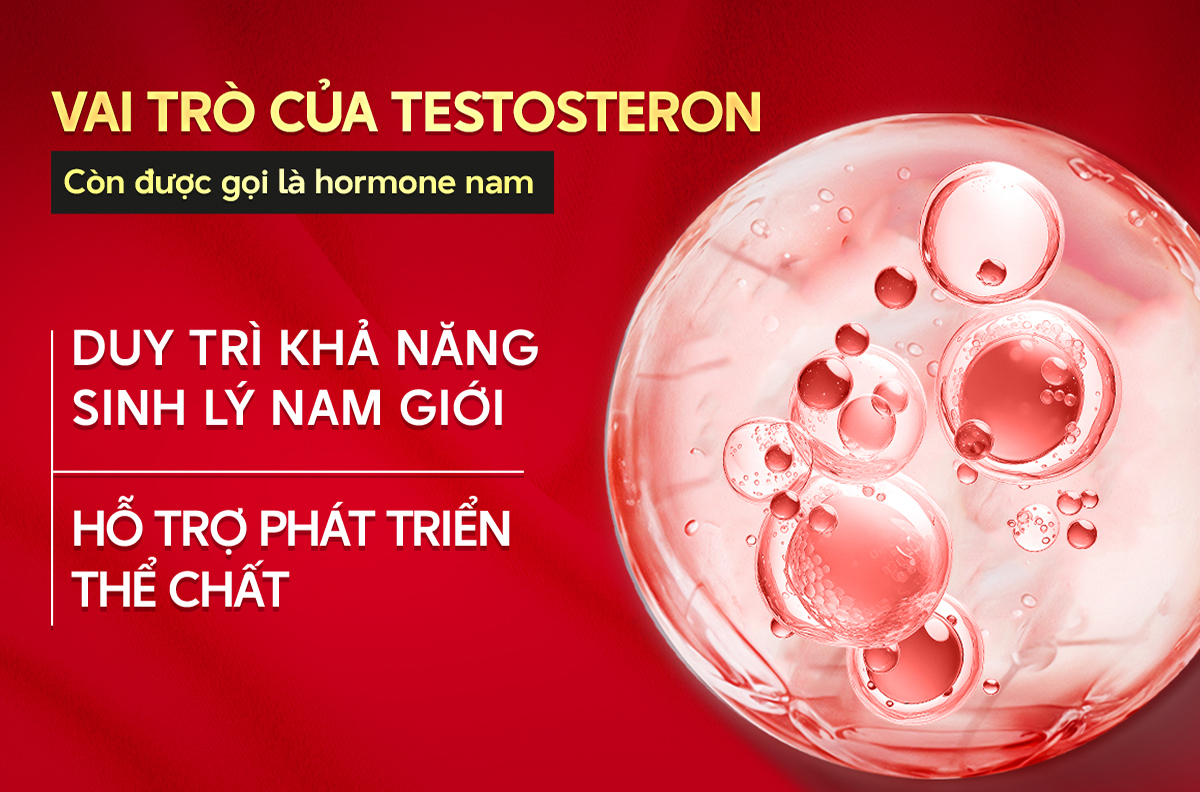 Mô tả [2Hộp] Thực phẩm bảo vệ sức khoẻ Viên Uống Hỗ Trợ Tăng Cường Sinh Lý Nam Welson For Men Hộp 60 Viên - 3
