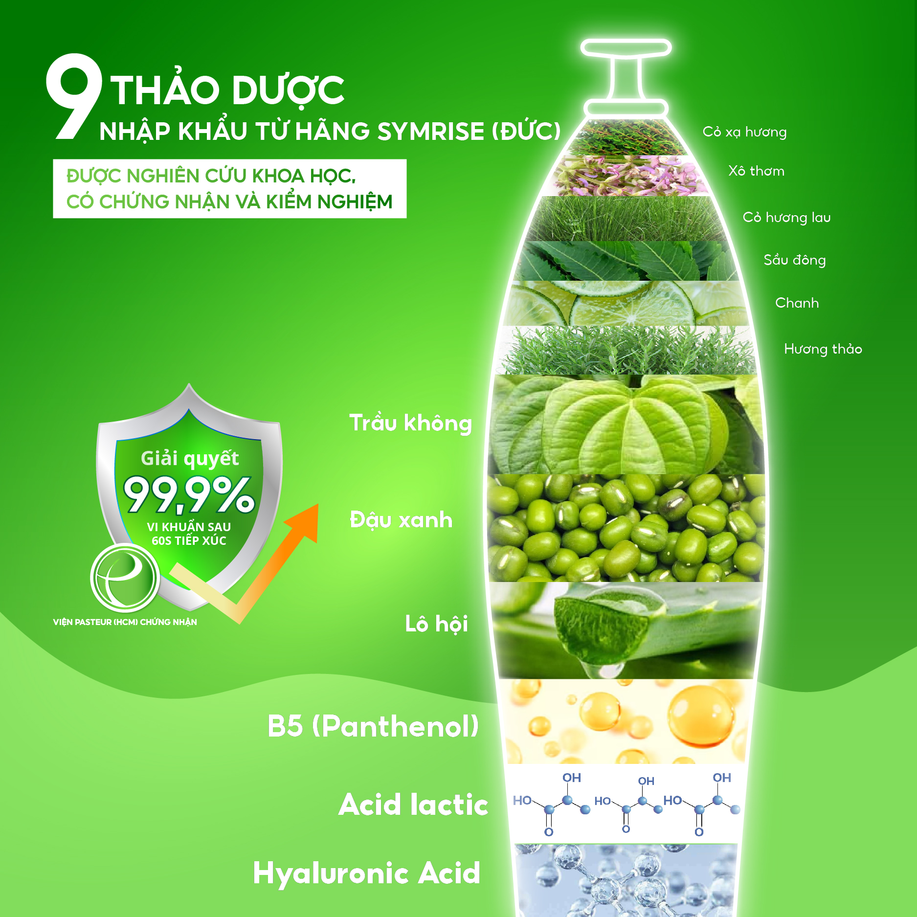Thành phần Gel Đặt Phụ Khoa Lavima Antimic