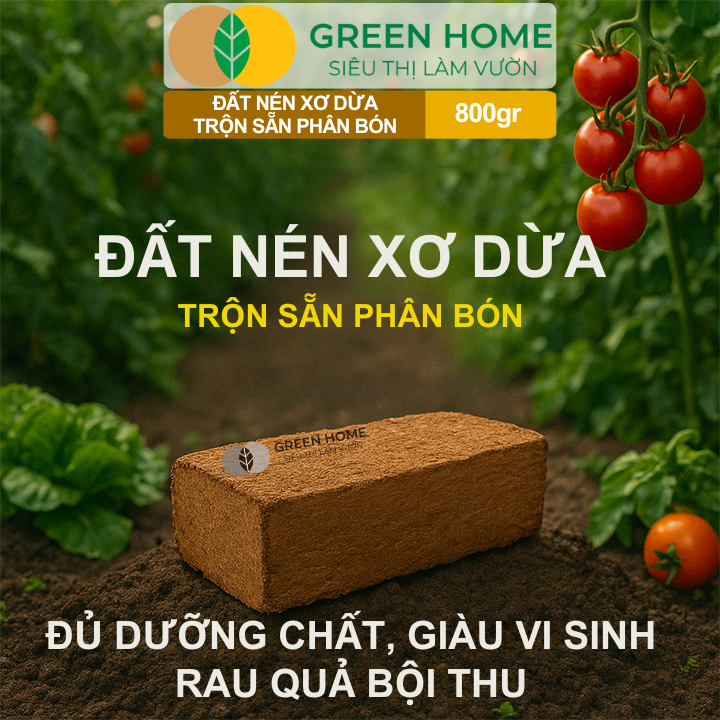 Đất Trồng Cây GreenHome Viên Nén 800gr trước khi ngâm nước