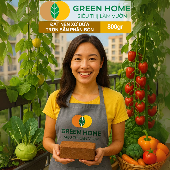 Đất Trồng Cây GreenHome Viên Nén nở ra sau khi ngâm nước