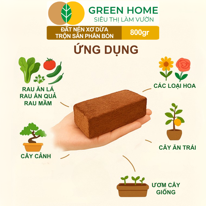 Đất Trồng Cây GreenHome Viên Nén thay thế đất sạch