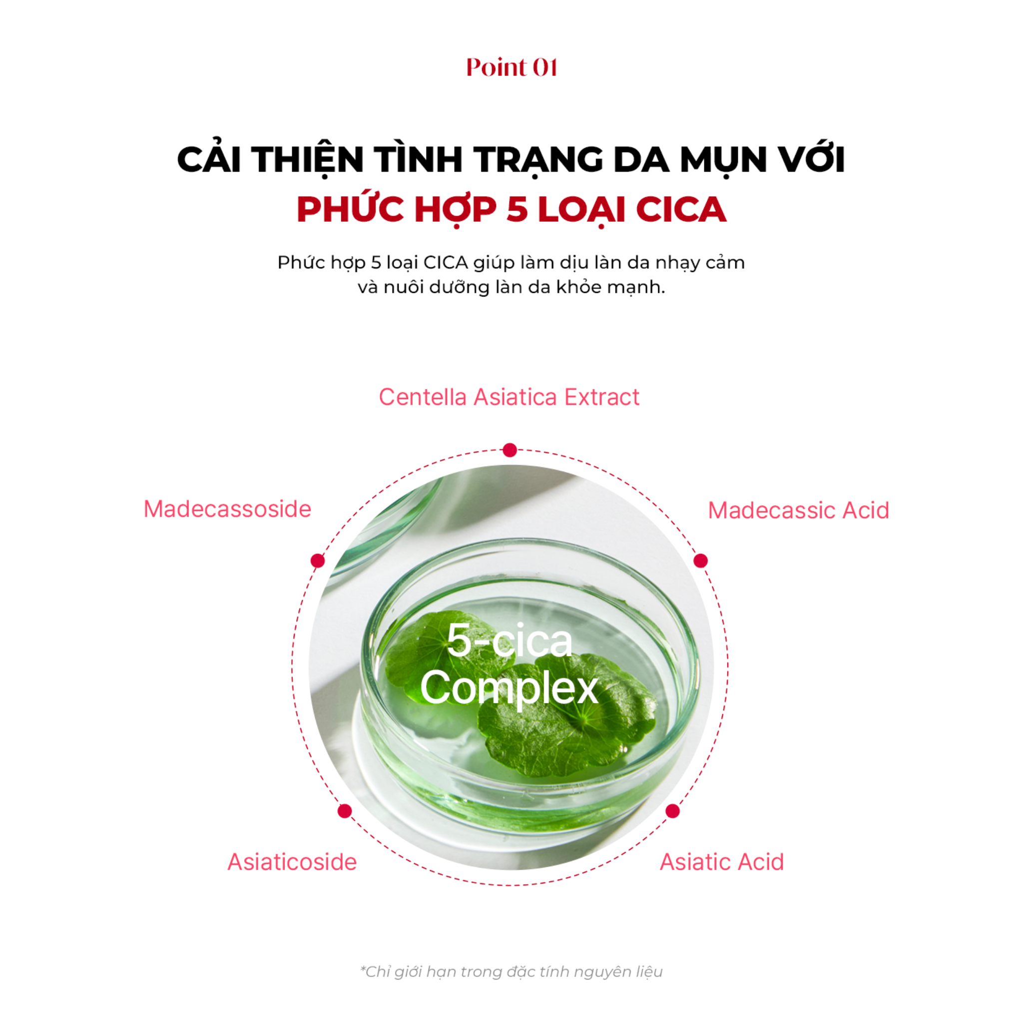 Mô tả Combo 10 Mặt Nạ Hỗ Trợ Phục Hồi Làm Dịu Da Mụn DERLADIE LABORATORIE VITAL  ACBLEMISH SOLUTION MASK 30mlx10 - 2