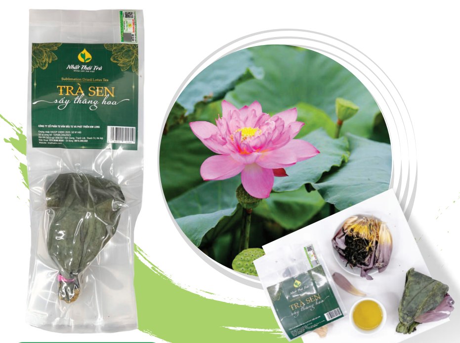 Mô tả Trà Bông Sen Tây Hồ - Trà Sen ướp xổi sấy thăng hoa, Hương vị thanh mát, thơm ngon tự nhiên - 1