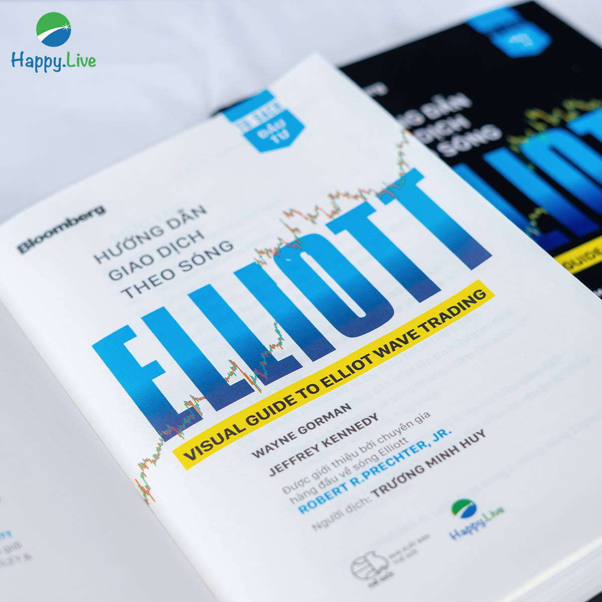 Mô tả Sách Hướng Dẫn Giao Dịch Theo Sóng Elliott - Visual Guide To Elliott Wave Trading - 2