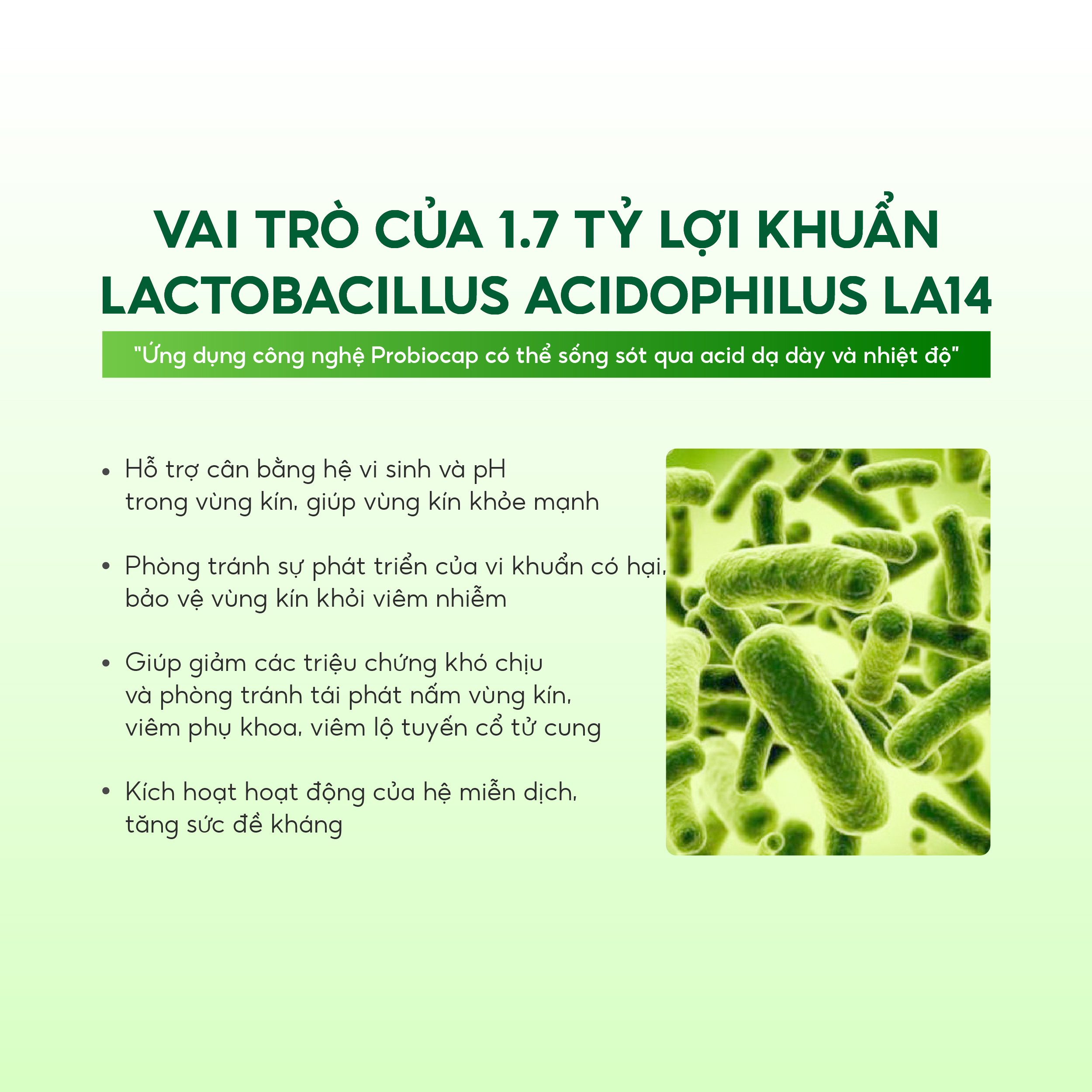 Mô tả Combo 02 Hộp viên uống LAVIMA BIOTIC 20V Tặng Khăn Ướt Lavima Protect 4.0 Gói 10 Tờ - 2