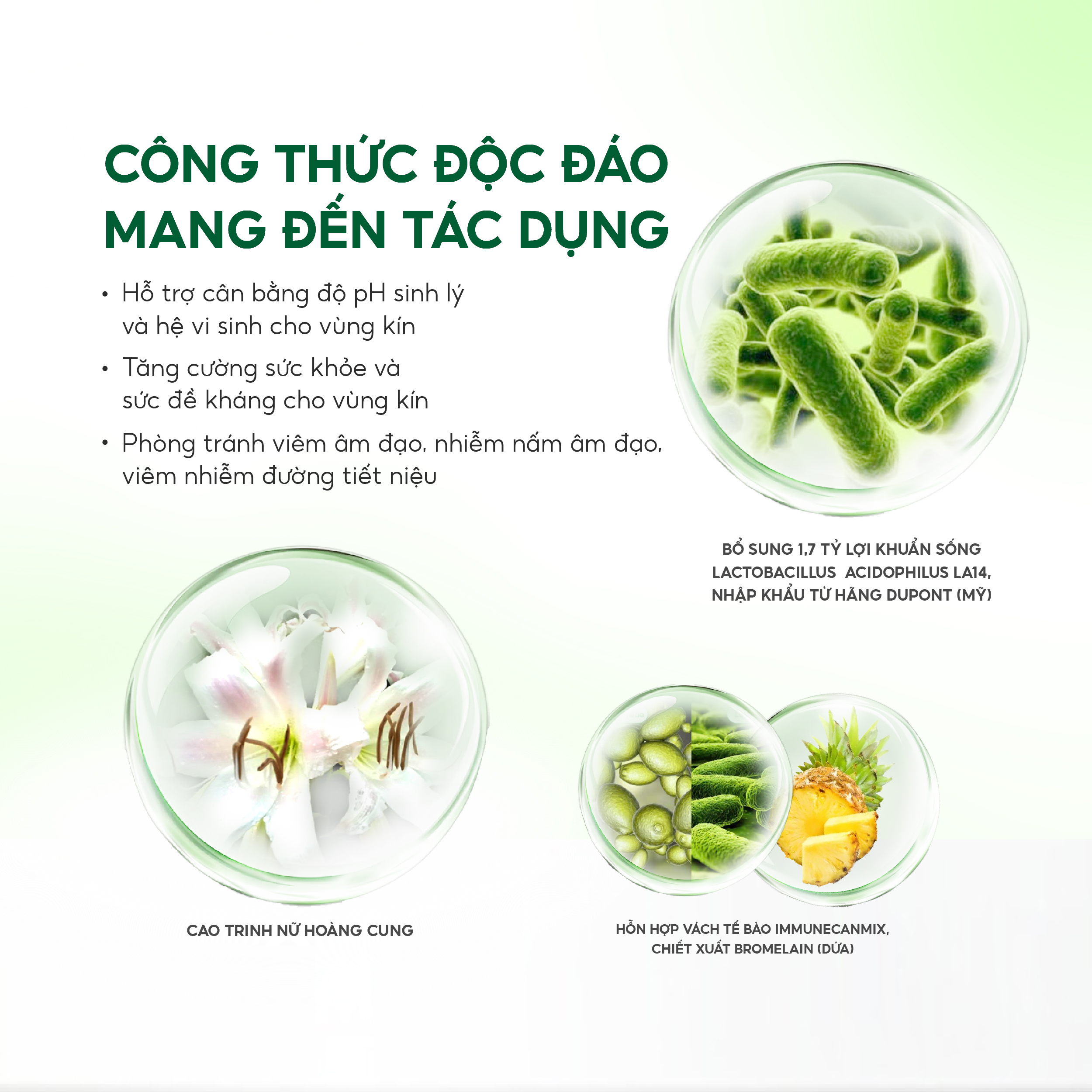 Mô tả Combo 02 Hộp viên uống LAVIMA BIOTIC 20V Tặng Khăn Ướt Lavima Protect 4.0 Gói 10 Tờ - 3