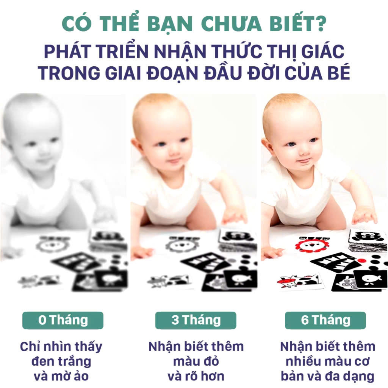 Mô tả Bộ Tranh Kích Thích Thị Giác TNBOOKS Cho Bé 0 - 3 Tuổi - Combo 3 Bộ Thẻ Gấp Chất Lượng Cao - 1