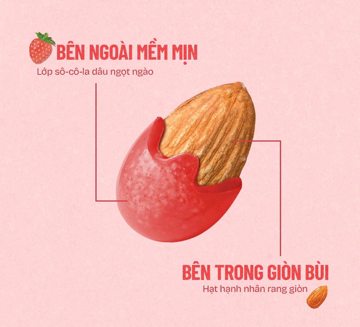 Mô tả Sô-cô-la Dâu bọc hạnh nhân - Xocoday - Hủ 175g - Heyday - 2