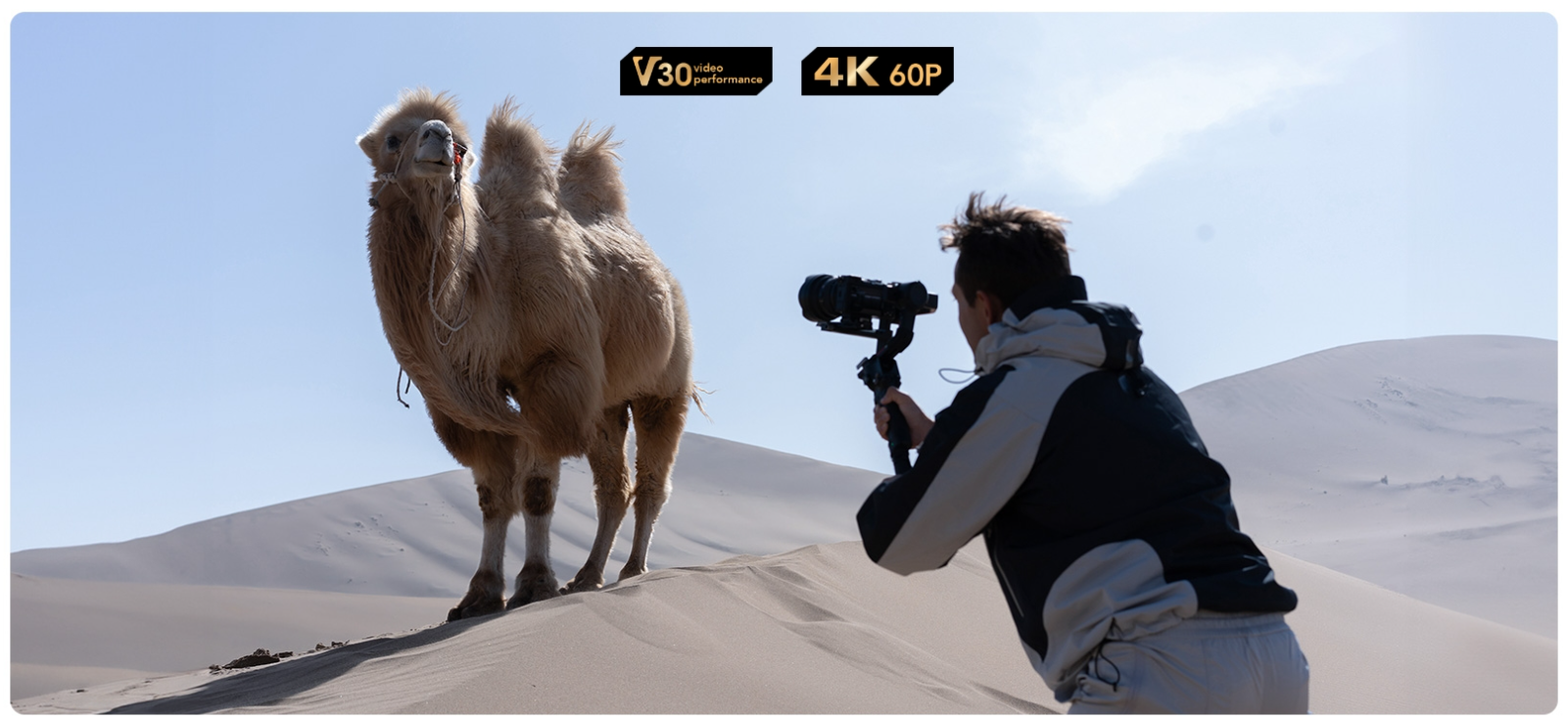 Thẻ Nhớ Sdxc Lexar Professional Silver Plus Uhs-I U3, Tốc Độ 205Mb/S