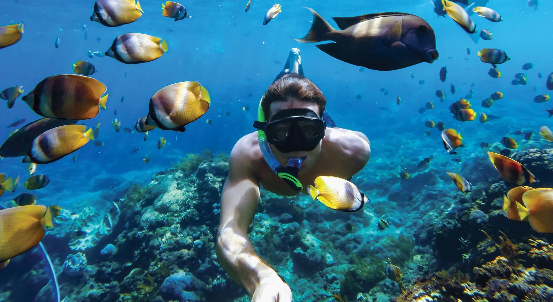 Mô tả Vỏ bảo vệ chống thấm nước cho GoPro HERO13/12/11/10/9, bảo vệ máy ở độ sâu lên tới 60m - 2