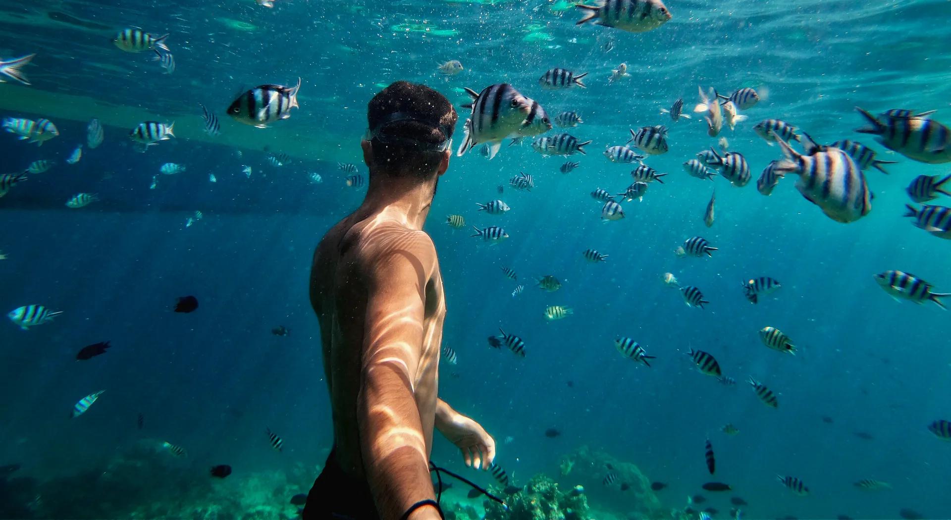 Mô tả Vỏ bảo vệ chống thấm nước cho GoPro HERO13/12/11/10/9, bảo vệ máy ở độ sâu lên tới 60m - 3