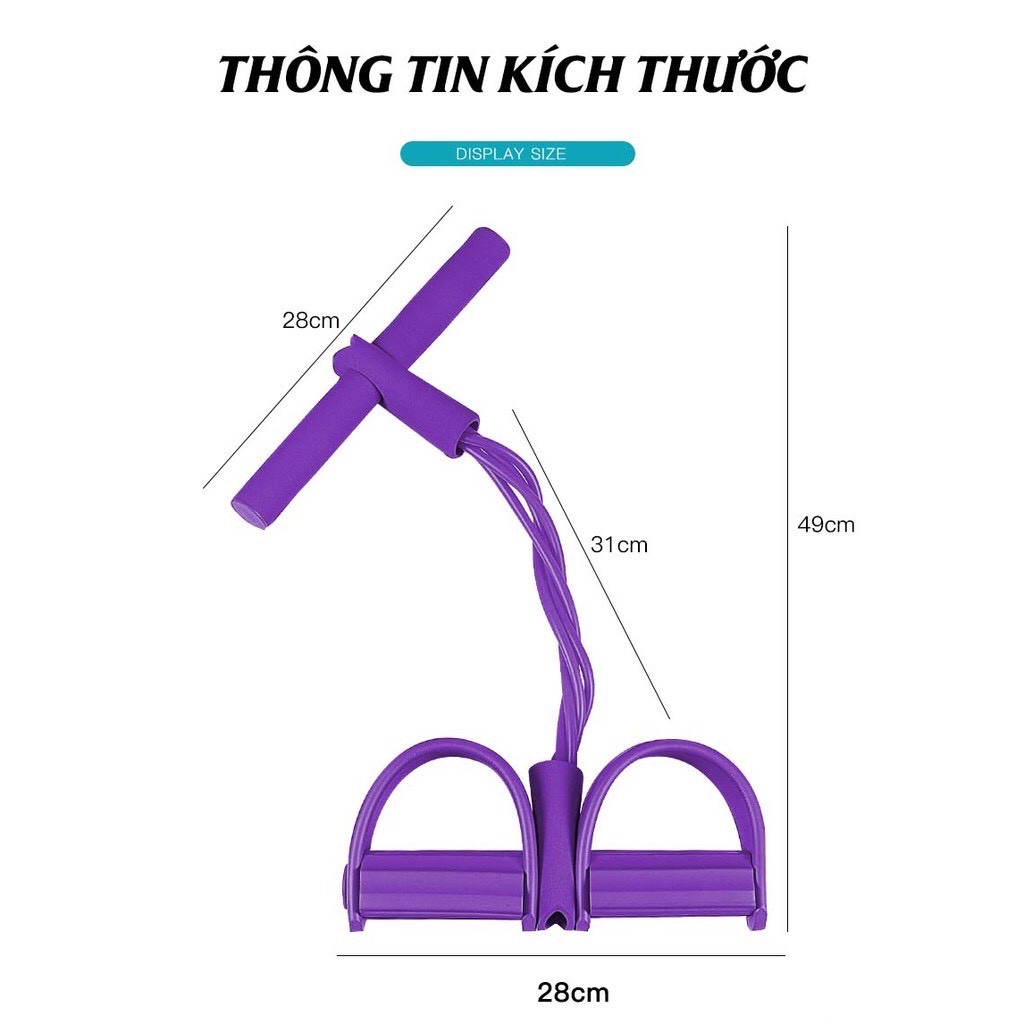 Mô tả Dây chữ B tập bụng tập gym dây tập kháng lực Prowin Fitness đàn hồi tập cơ bụng eo lưng tại nhà - 2
