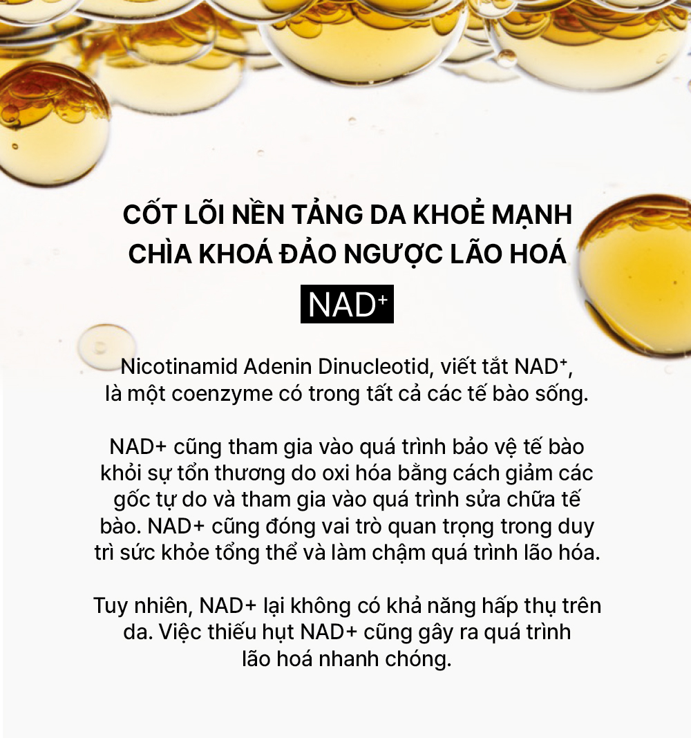 Công dụng Whoo Bichup Serum