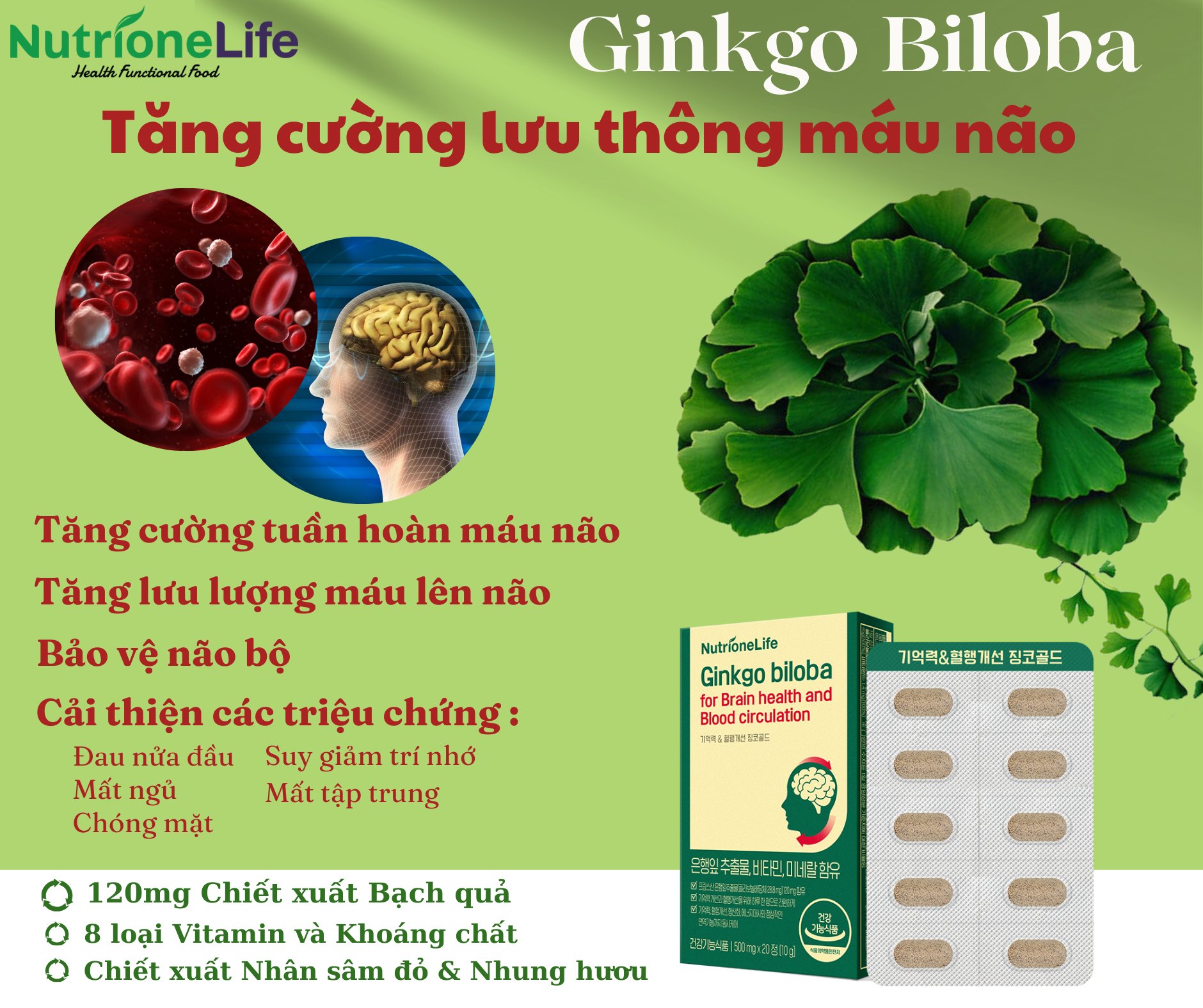 Mô tả Viên uống bổ não NUTRIONELIFE Ginkgo Biloba Tăng Cường Trí Nhớ,Giảm Đau Đầu,Chóng Mặt,Rối Loạn Tiền Đình 20 Viên - 1