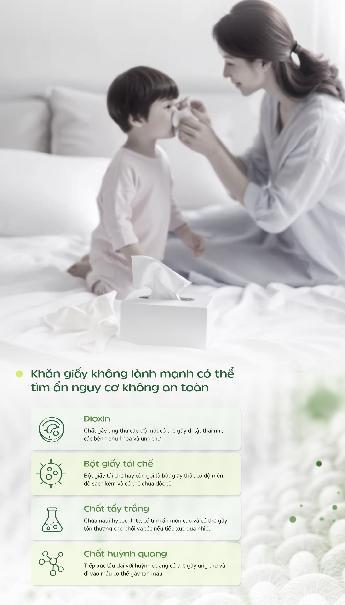 Giấy Treo Tường TISSUEPULL