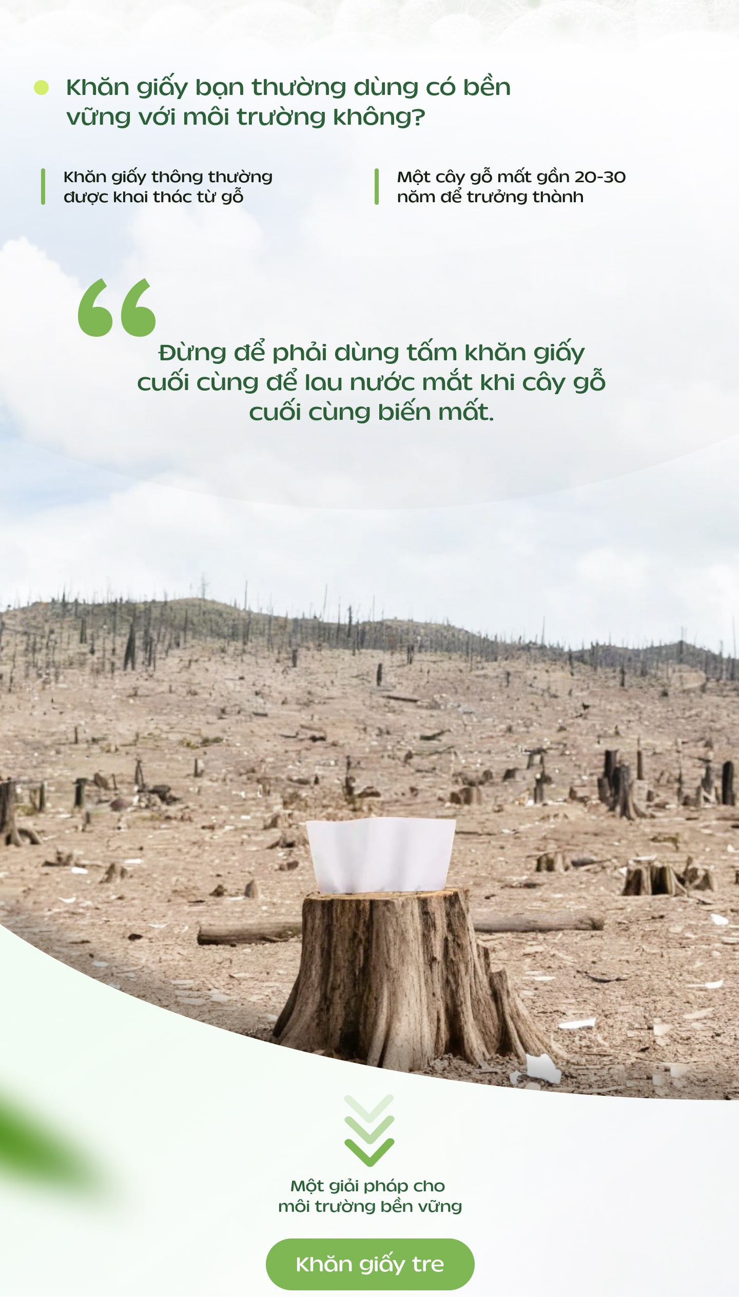 Giấy Rút Fudo Bamboo
