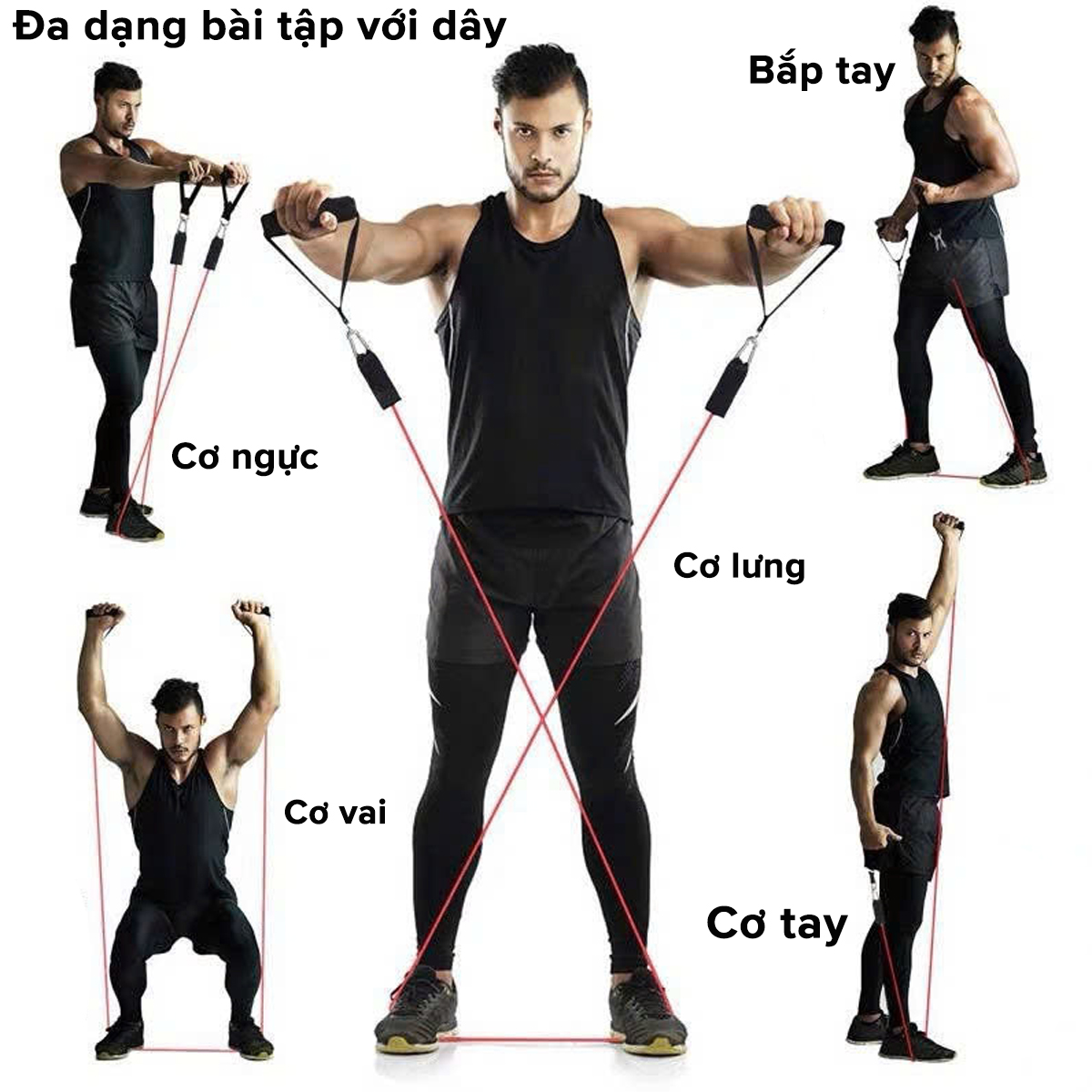 Mô tả Bộ 5 Dây Kháng Lực Dây Đàn Hồi Ngũ Sắc Tập Thể Hình Tập Gym Toàn Thân Đa Năng Chống Đứt Móc Sắt Chính Hãng Amalife - 4
