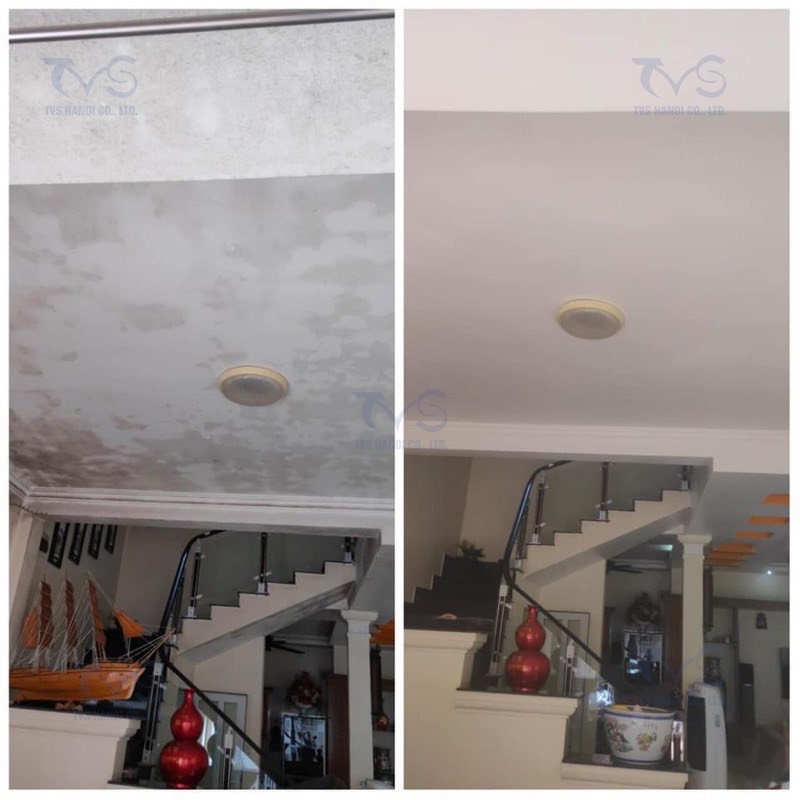 Chai Tẩy mốc TVS 5L