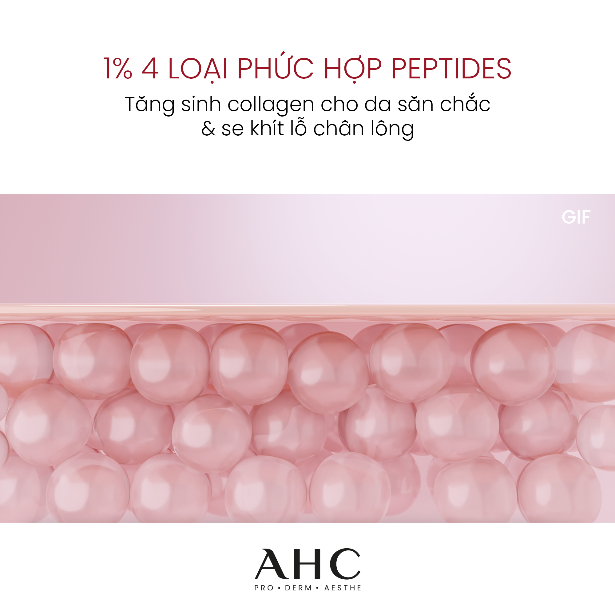 Hướng dẫn sử dụng AHC