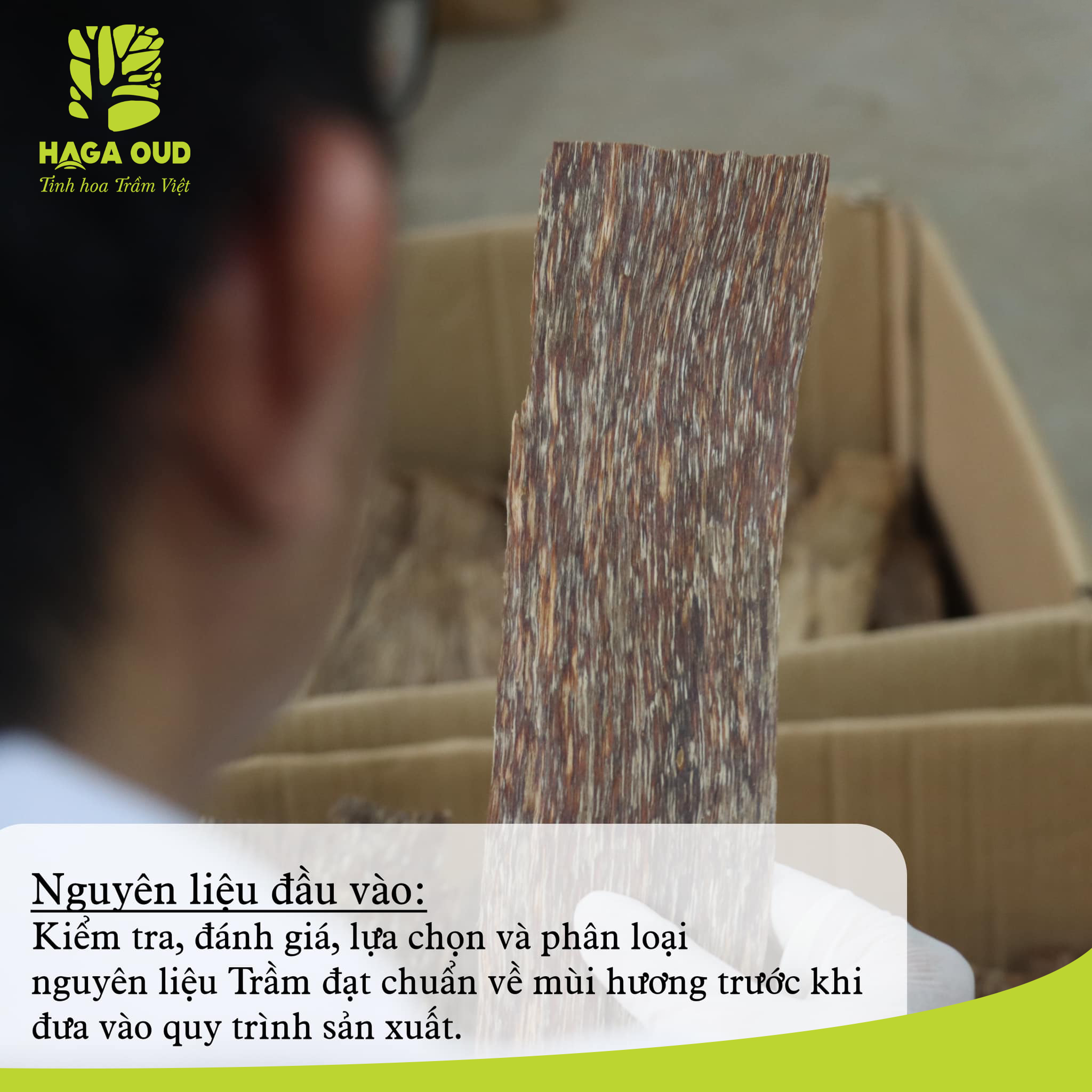 Mô tả Nhang trầm Haga cao cấp, Thơm trầm đậm ngọt, Mùi hương cao quý, An toàn sức khỏe, 50 cây/5 cây - 30cm/40cm - 1