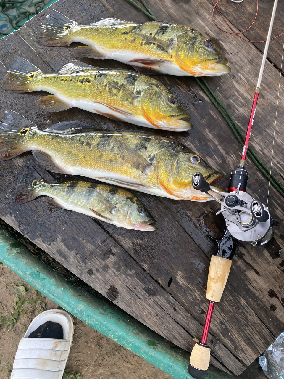 Novosibirskdan xususiy porno suratlar