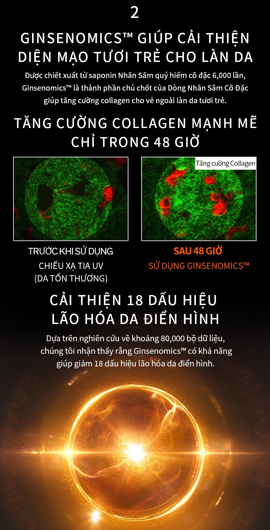 Mô tả Bộ Tinh Chất Nhân Sâm Cô Đặc Dưỡng Da Săn Chắc 15ml Sulwhasoo CGR Serum Trial Kit (3 món) - 4
