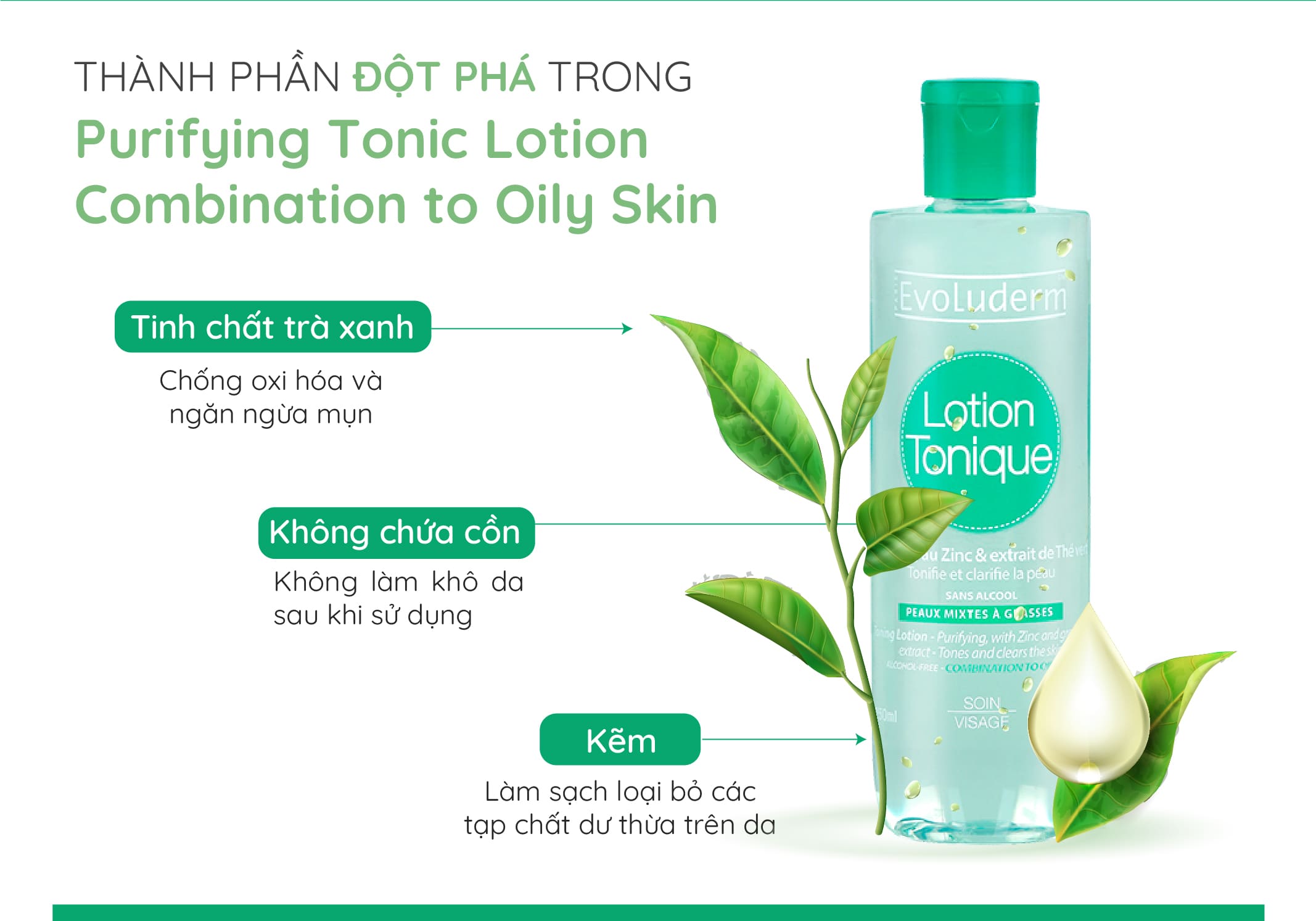 Mô tả Nước hoa hồng Evoluderm dành cho da hỗn hợp và dầu mụn 250ml - 2