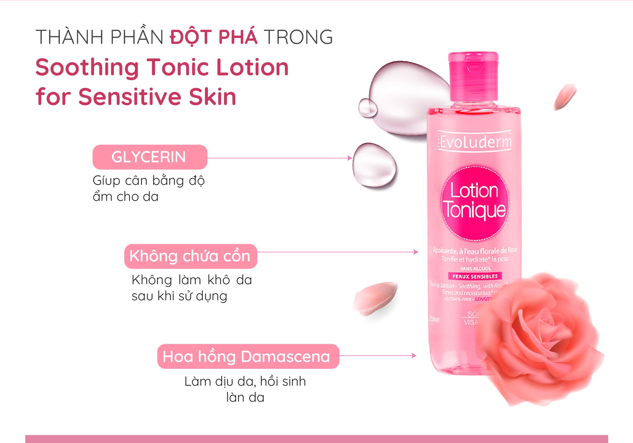 Mô tả Bộ Xit khoáng Evoluderm Atomiseur Eau Pure 400ml và Nước hoa hồng Evoluderm cho da nhạy cảm 250ml - 4