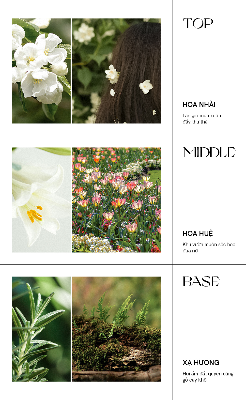 Mô tả Nước Hoa Nữ Thơm Lâu De Memoria Mê Hoặc, Muôn Hoa Nở Rộ (30ml) - Spello 01 BST Ký Ức Đầu Tiên - 6