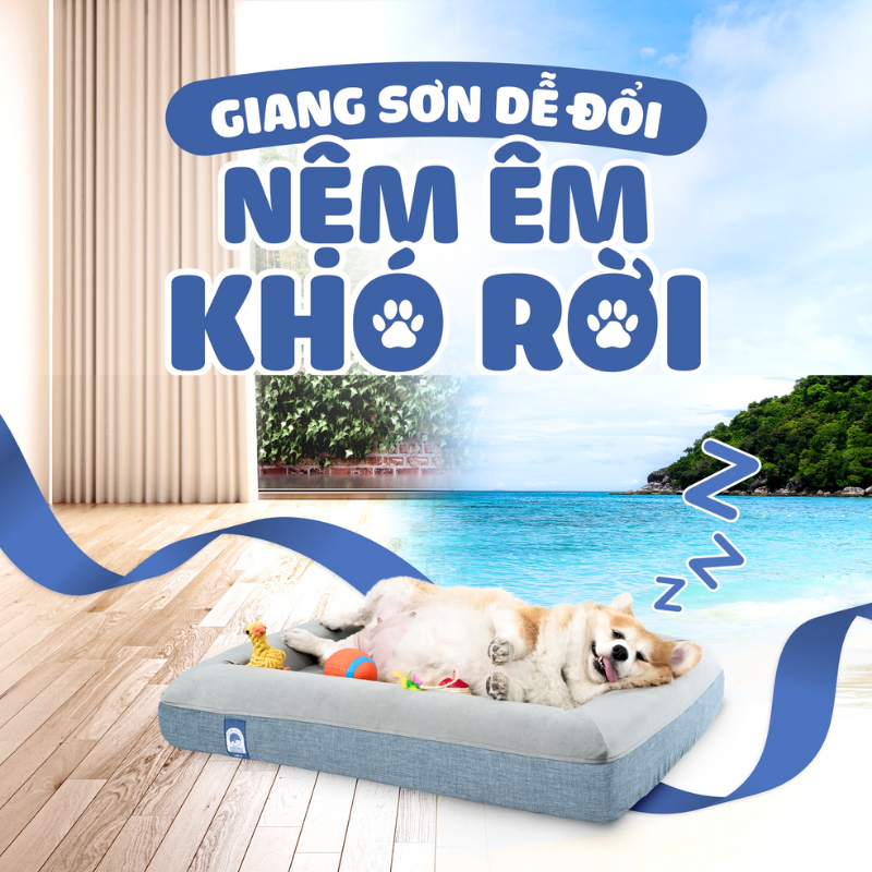 Mô tả WOWS - Nệm Foam Thú Cưng Chiko - Đệm Ngủ Chó Mèo Cao Cấp - Vỏ Tháo Được, Mềm Mại, Đàn Hồi - S, M, L - 1