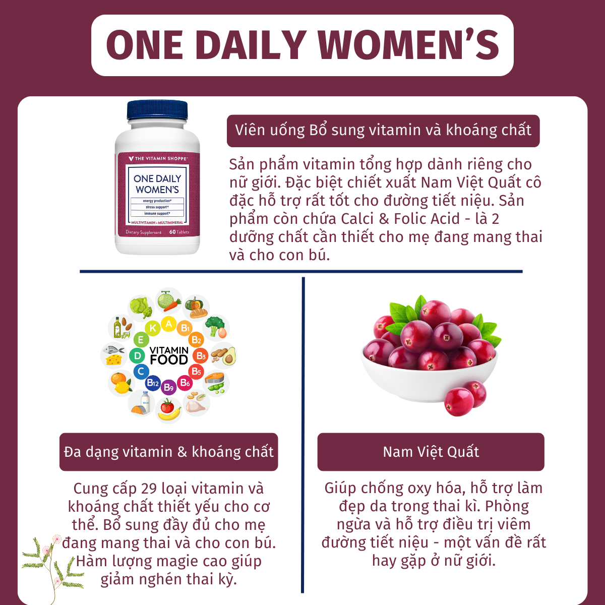 Mô tả Viên Uống Vitamin Tổng Hợp Cho Phụ Nữ & Phụ Nữ Sau Sinh Vitamin Shoppe One Daily Women’s 60 viên - 2
