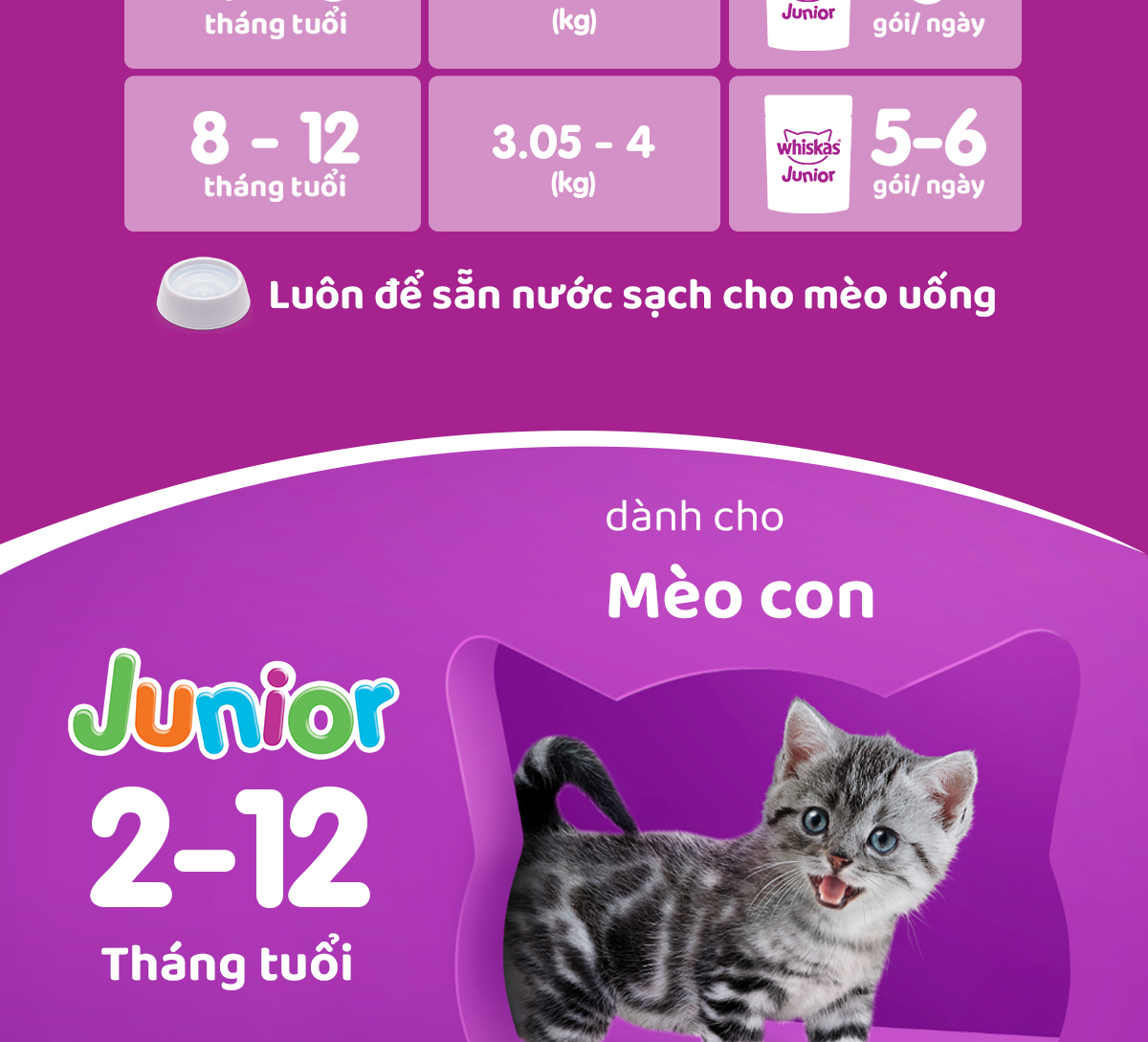 Mô tả Thức ăn cho mèo con WHISKAS Junior dạng sốt – túi 80g - 6