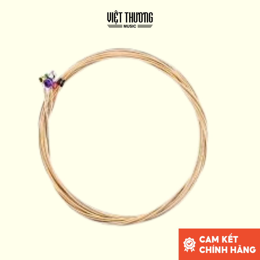 Mô tả Dây đàn guitar acoustic D'ADDARIO PHOSPHOR BRONZE ACOUSTIC 12-53 EJ16 dây đàn hợp kim cao cấp Việt Thương Music - 1