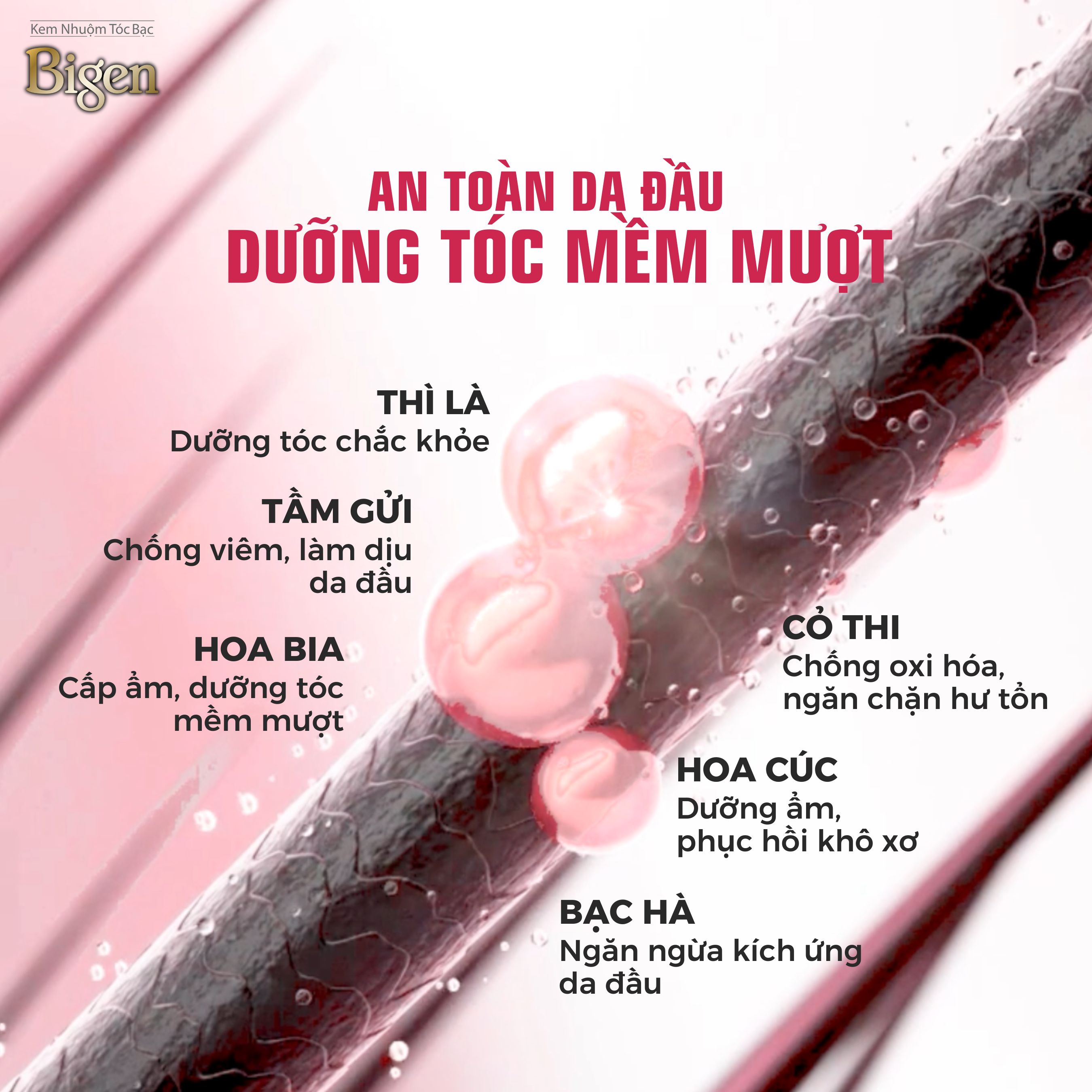 Mô tả Thuốc Nhuộm Tóc Phủ Bạc Dạng Kem Bigen Speedy - Bigen Xám Bền Màu, Phủ Bạc Thảo Dược Hoàn Hảo Dưỡng Tóc Mềm Mượt 80ml - 3
