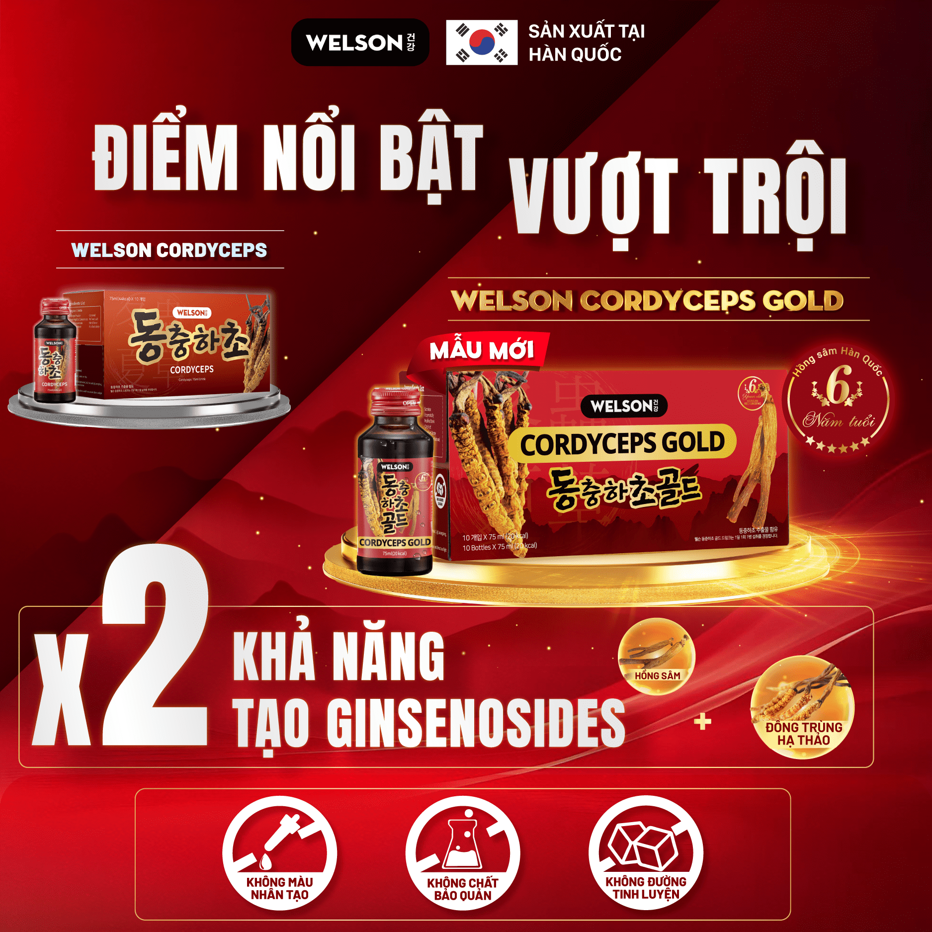 Mô tả Nước Uống Đông Trùng Hạ Thảo Welson Cordyceps Gold Hộp 10 Chai x 75ml [3Hộpx10c x75ml] - 6