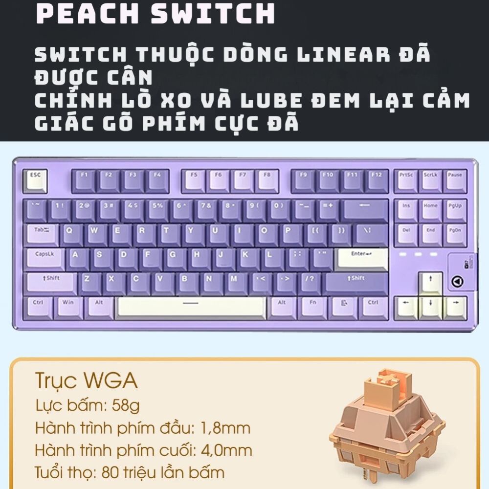 Bàn phím cơ không dây Y87 - 3 mode - Mạch xuôi 5 pin - App Marco - LED ...