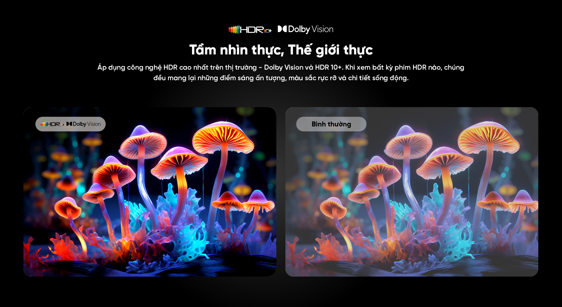 Google Tivi Coocaa Qled 55Y73 Pro - Remote