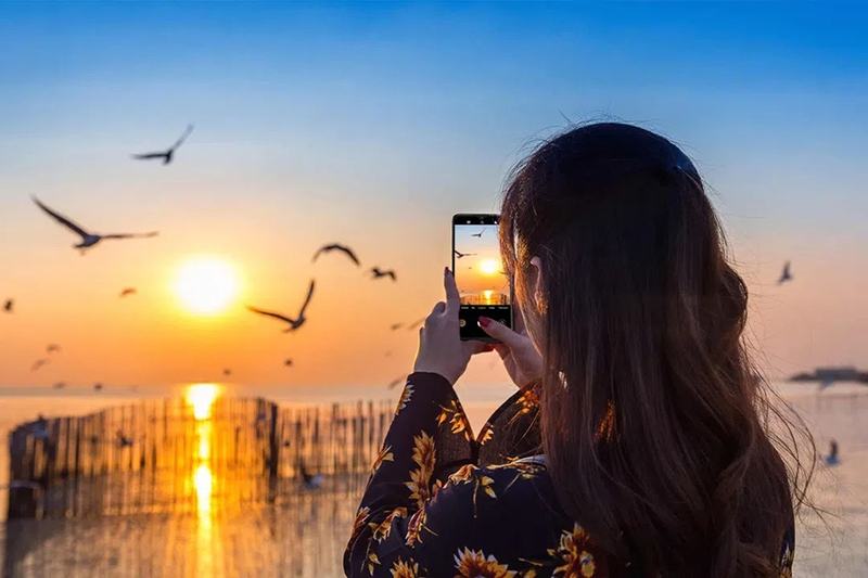 Camera điện thoại TCL 503