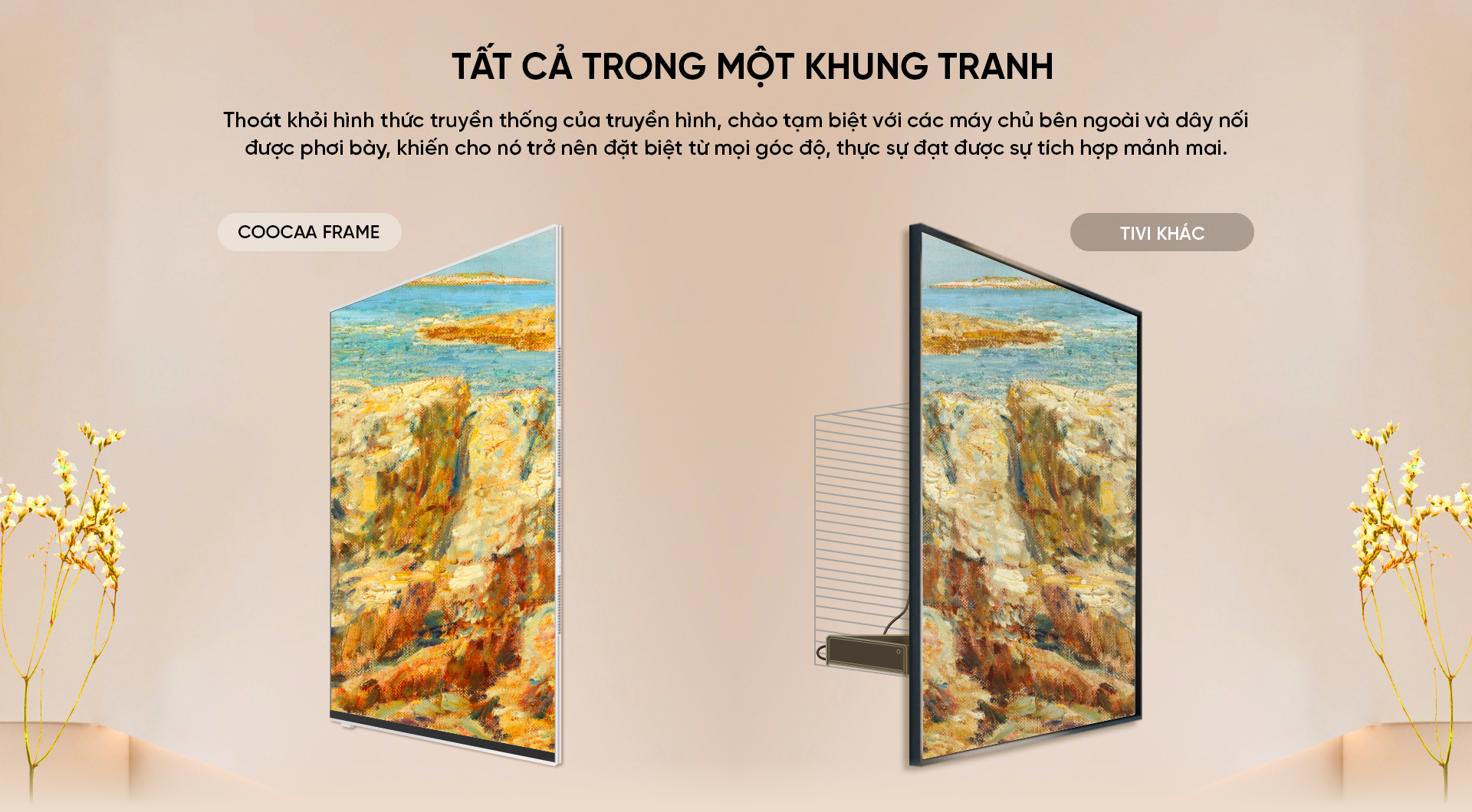 Kích thước tivi Coocaa 65 inch