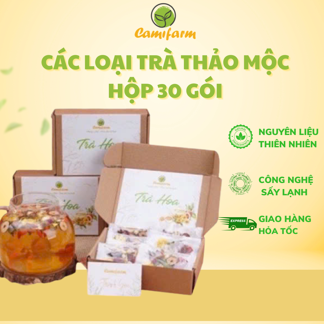 Mô tả Trà Thảo Mộc, Trà Dưỡng Nhan, Trà Thanh Nhiệt Camifarm Hộp 30 Gói Đẹp Da, An Thần Dễ Ngủ, Thanh Nhiệt, Thon Gọn Dáng - 1