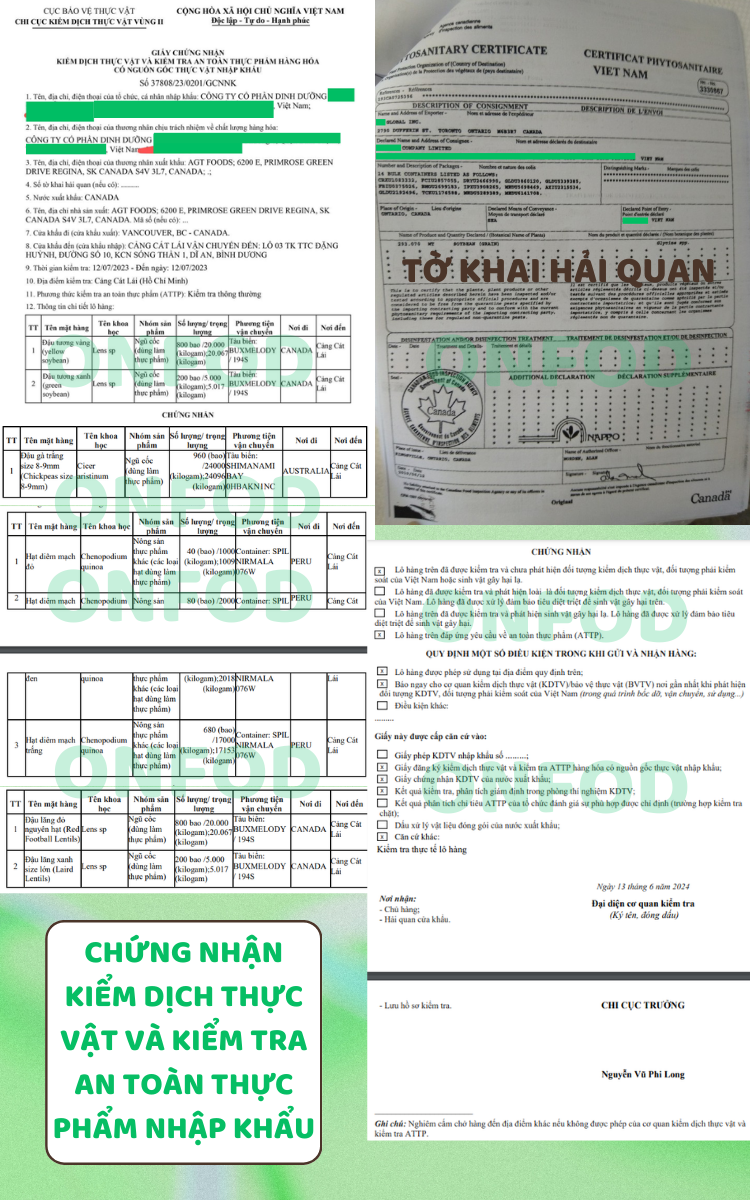 Mô tả Các loại hạt dinh dưỡng sấy chín ONFOD hạt điều rang muối óc chó hạnh nhân macca yến mạch hạt bí hạt thông - 8