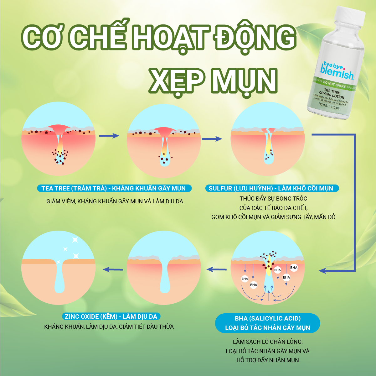 Mô tả Combo Giảm Mụn Viêm và Thâm Mụn Nhanh - Chấm Mụn Tràm Trà 30ml và Chấm Vitamin C 30ml Bye Bye Blemish - 2