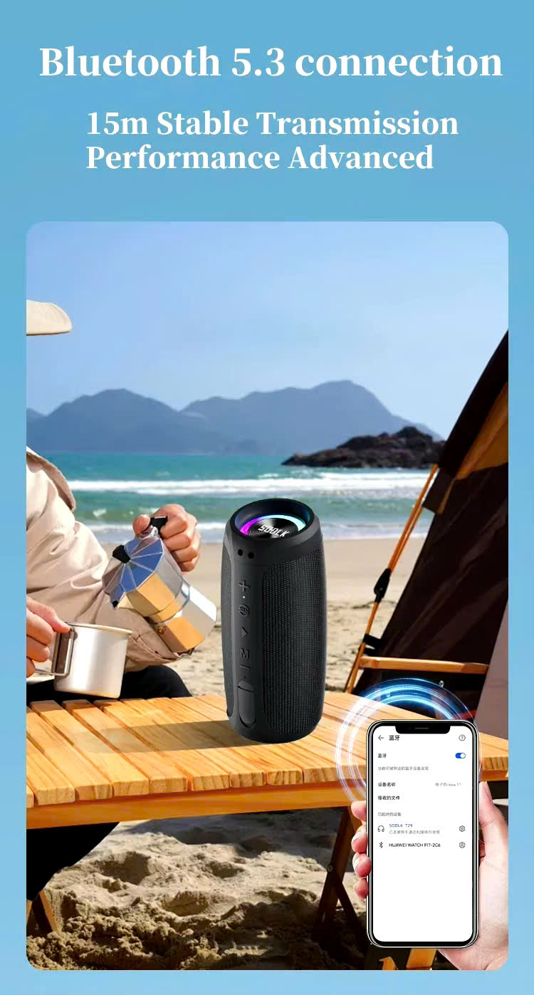 Kích thước Loa SODLK T29